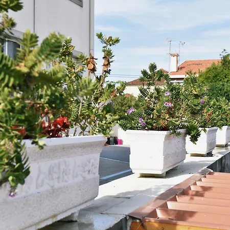 酒店 机场酒店 Maía