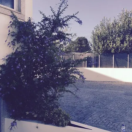 Отель Aeroporto 2*