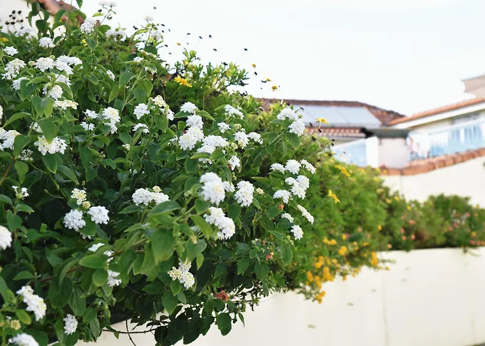 Aeroporto Отель Мая