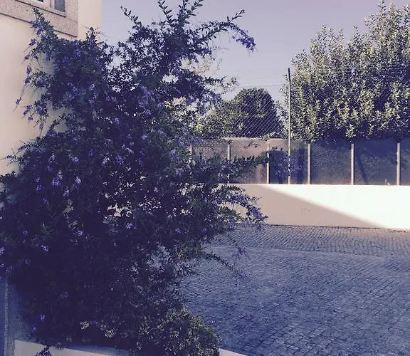 Отель Aeroporto 2*