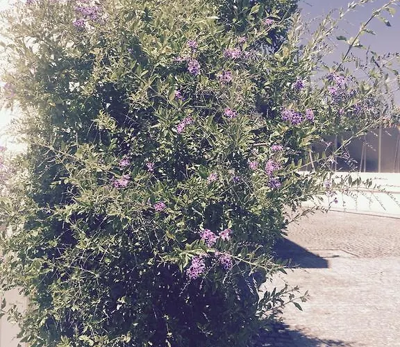 Отель Aeroporto Мая