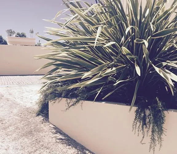 아에로포르투 2* Maía